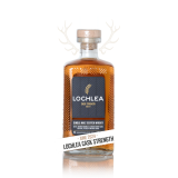 Best Budget Whiskies for Christmas 2024
