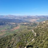 Exploring the Sherry Triangle: Understanding the Casks that Shape Whisky