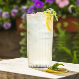 Elderflower Highball