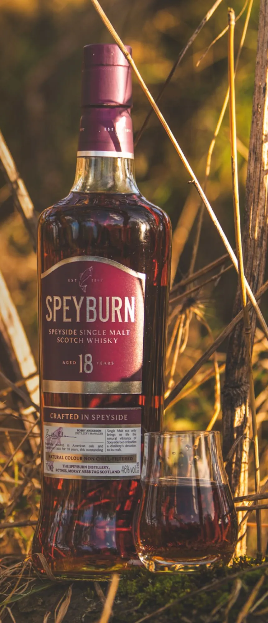 Speyburn 18 Year Old with Summerton glass