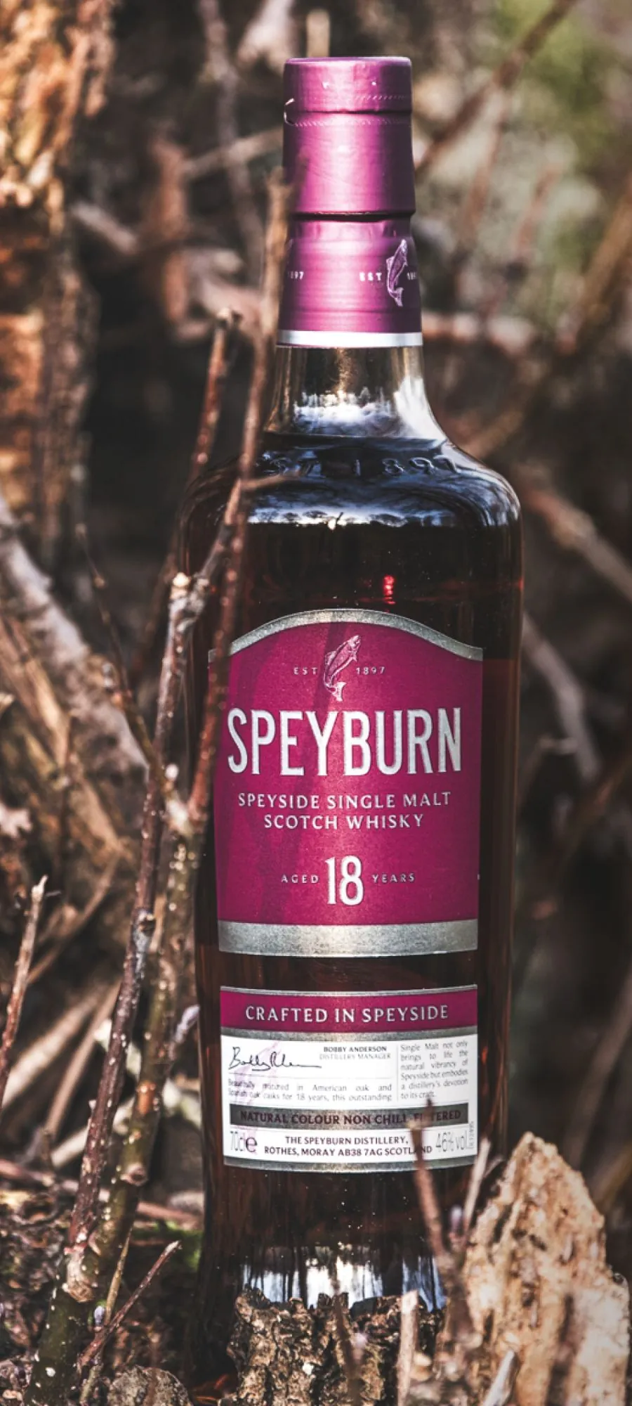 Speyburn 18 Year Old bottle